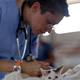 Imagen para el artículo titulado Reino Unido alerta: cada vez hay más mascotas sin vacunar porque sus dueños son antivacunas